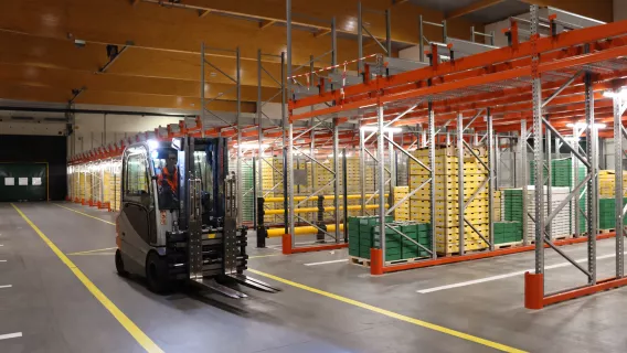 Magazijn Zeebrugge